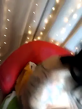 Masha_Real_84 webcam