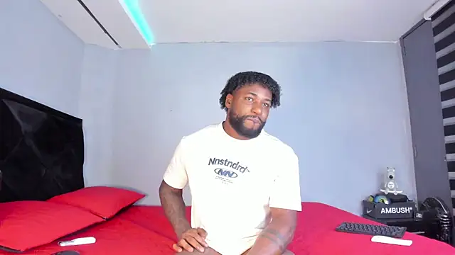 Dancelwashington webcam