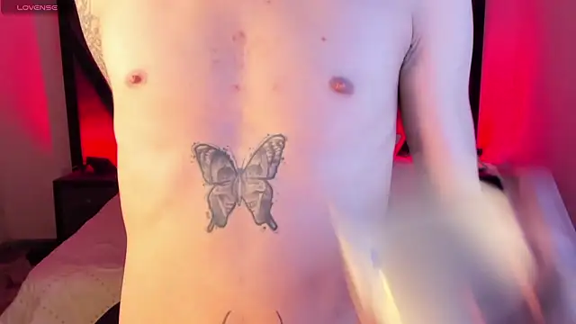 AndyWiilliams webcam