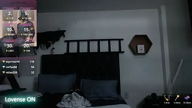 subarashi_ishi69 webcam