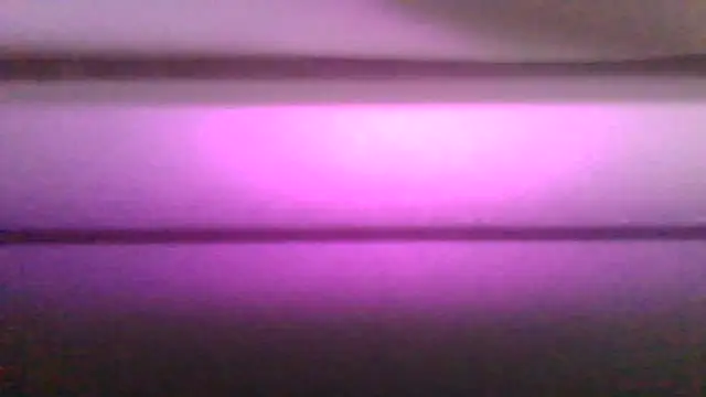 kaimsdecadus555 webcam