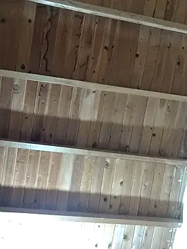 HallowedMilan webcam