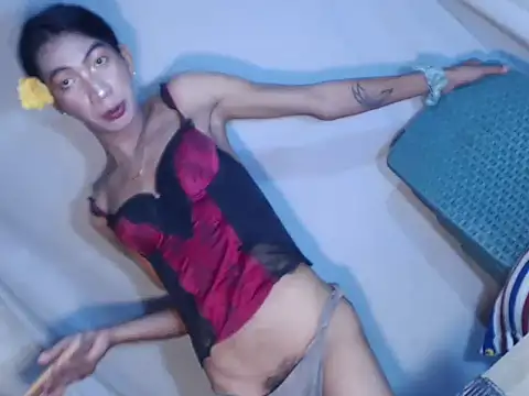 xyourdreamtrans webcam