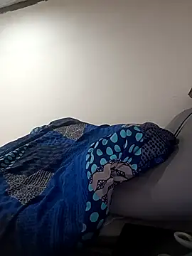 Winterslender webcam