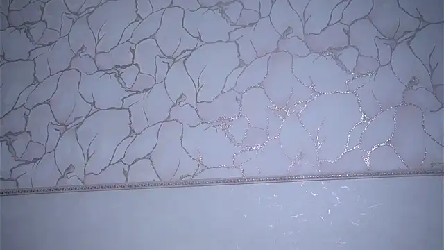 VeronaAppleberry webcam