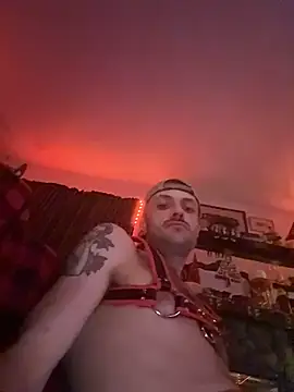 HarmoniousPhantasm3 webcam