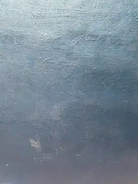 tamilthanushri webcam