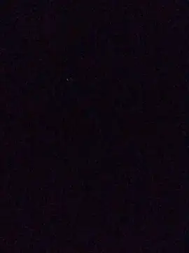 elpeluchenegroxxx3 webcam