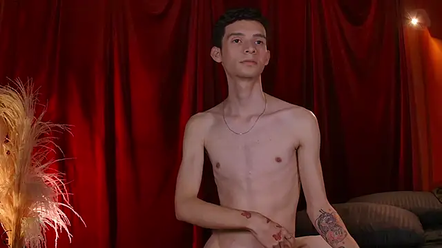 VicenteFerrer webcam