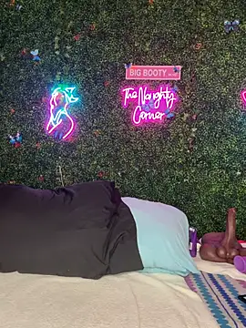 Preview of renathickass