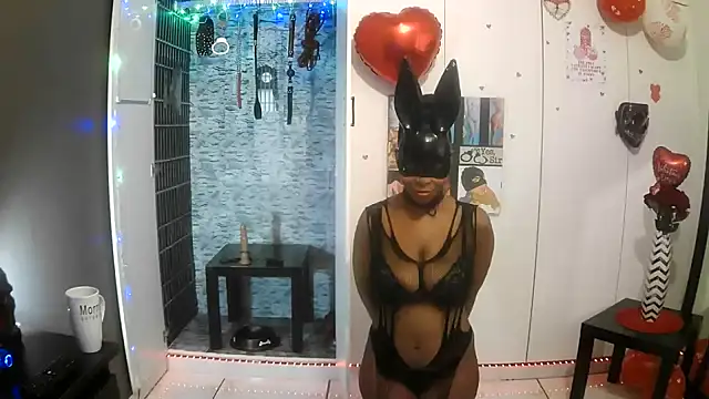 BaDSubMiss webcam