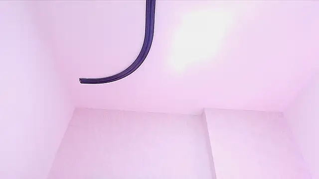 _carolina_fox webcam