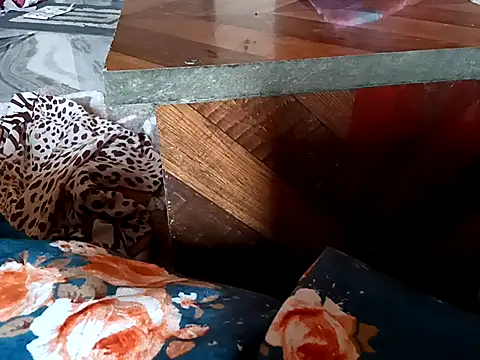 bigtelugubhama webcam