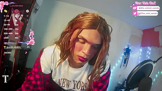 The_velvet_Sandra webcam