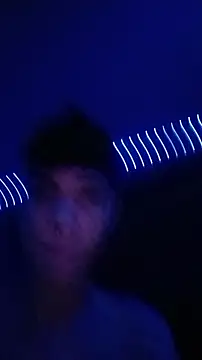 LivingAesthetic webcam