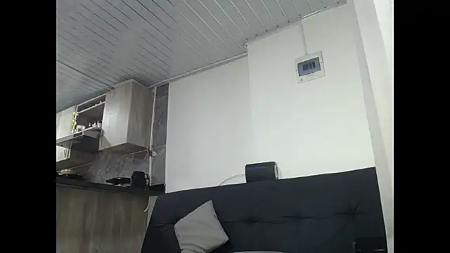 Nero_VanHelsing webcam