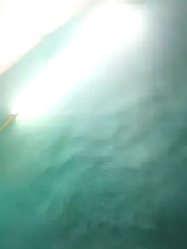 villageanuty (F milf) - Ticket Show