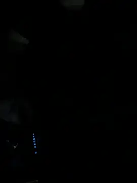 BearChubby300 webcam