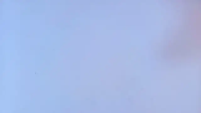 sharlott_miller webcam