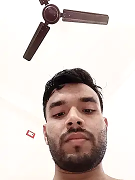 HorriblePastry webcam