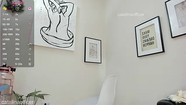 catalinaofficer webcam