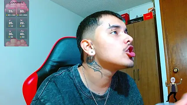 Hgp3riodictabl3 webcam