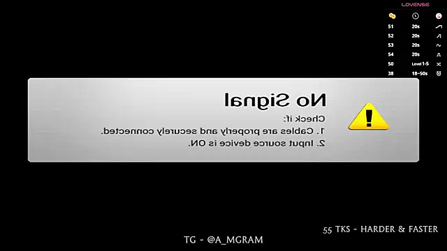 disco_elysium webcam