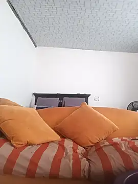 Winterslender webcam