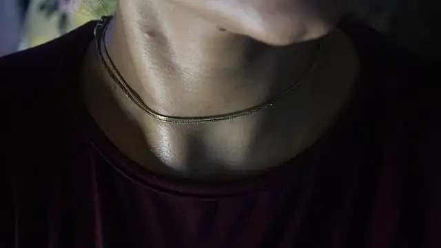 -AyeshaSinghania- webcam