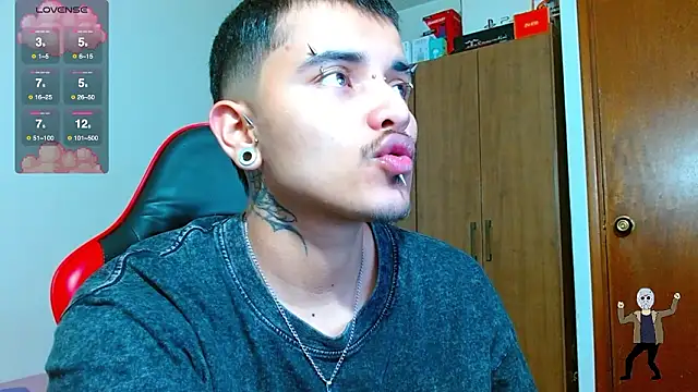 Hgp3riodictabl3 webcam