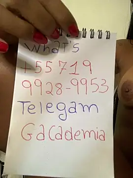 gatadaacademia webcam