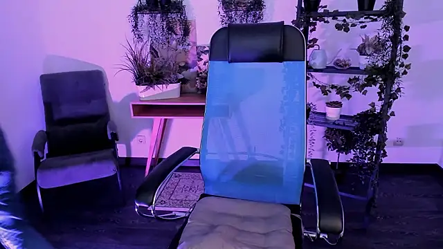 VirtuallVoyant webcam