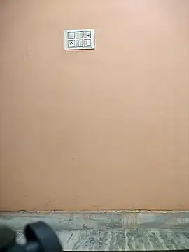 meenu_bhabhi547 webcam