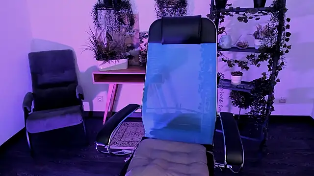 VirtuallVoyant webcam