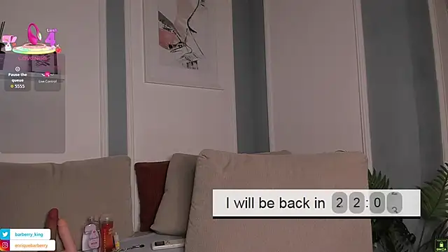 EnriqueBarberry webcam