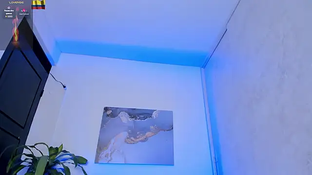 Yeiko_Romero_ webcam