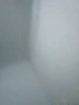 Pollaelectrica77 webcam