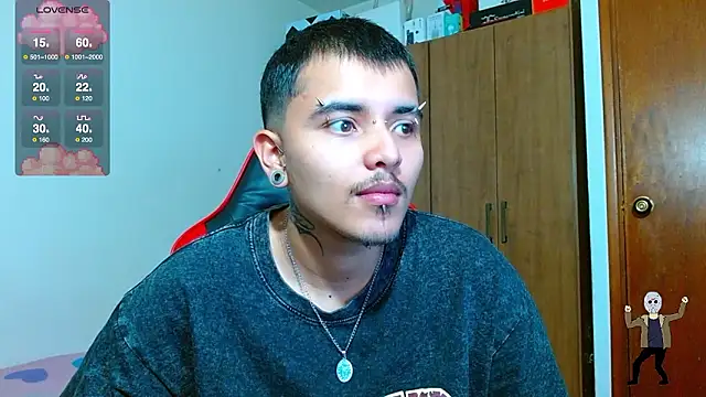 Hgp3riodictabl3 webcam