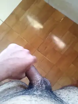 Pau_Peludo_Barreiras-BA webcam