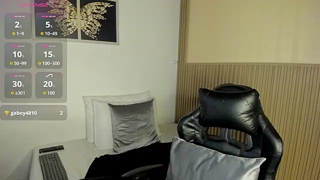 summer_night_ webcam