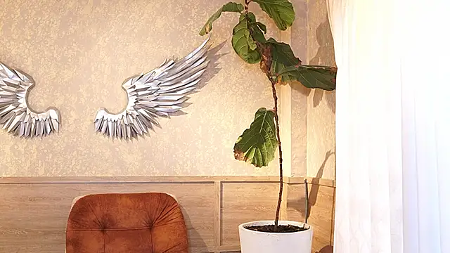 Ethan_occonor webcam