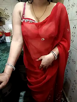 Hote_Model2424 webcam