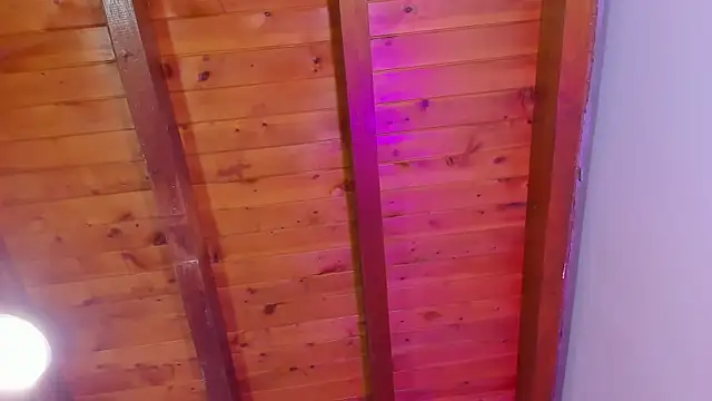 Im_FelixHunter webcam