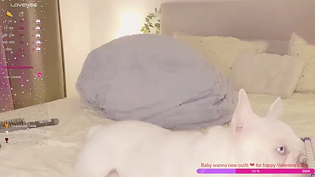 _rose_monarch_ webcam