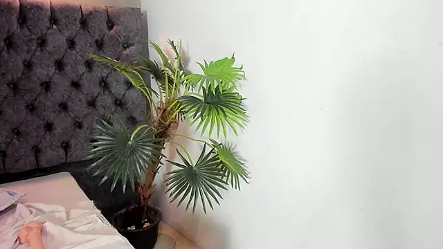 VIOLETA_PARKKER webcam