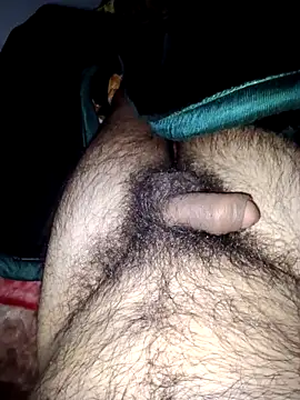 aman4404 webcam