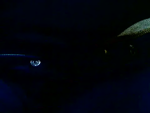 markluvskitty webcam