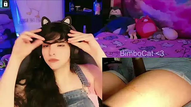 BimboCat webcam