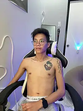 Prince-Harrison webcam