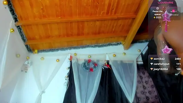 esteveen_ortegas_ webcam